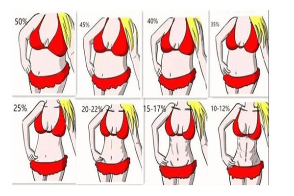 體脂率是脂肪率嗎 體脂率是怎么測(cè)出來(lái)的 體脂率是脂肪率嗎 體脂率是怎么測(cè)出來(lái)的