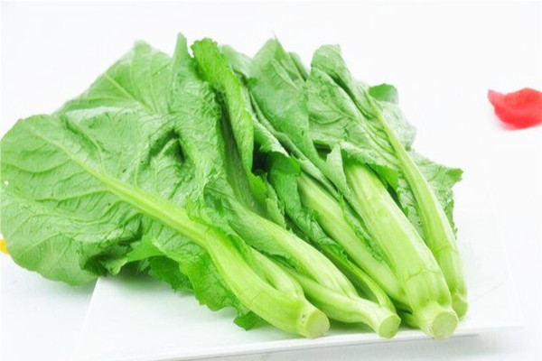 芥菜孕婦可以吃嗎 孕婦吃芥菜對(duì)胎兒好嗎 芥菜孕婦可以吃嗎 孕婦吃芥菜對(duì)胎兒好嗎