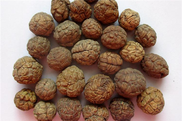 草豆蔻和白蔻豆的區(qū)別 草寇豆和白豆蔻一樣嗎 草豆蔻和白蔻豆的區(qū)別 草寇豆和白豆蔻一樣嗎