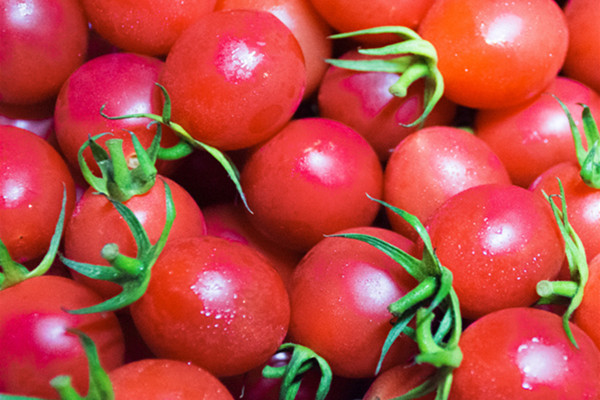 圣女果吃多了會(huì)怎么樣 圣女果不適合什么人吃 圣女果吃多了會(huì)怎么樣 圣女果不適合什么人吃