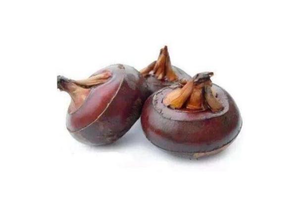 荸薺有毒嗎 荸薺吃多會怎樣 荸薺有毒嗎 荸薺吃多會怎樣