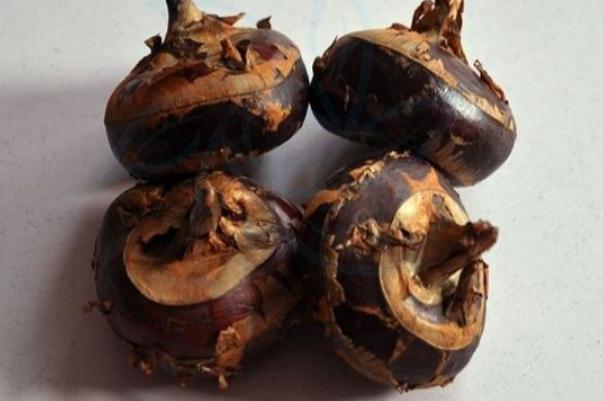 荸薺會過敏嗎 荸薺過敏怎么辦 荸薺會過敏嗎 荸薺過敏怎么辦