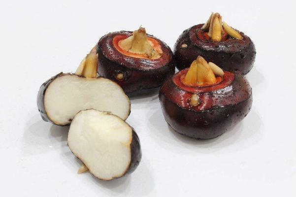 馬蹄的功效和作用 馬蹄的最佳吃法和做法 馬蹄的功效和作用 馬蹄的最佳吃法和做法