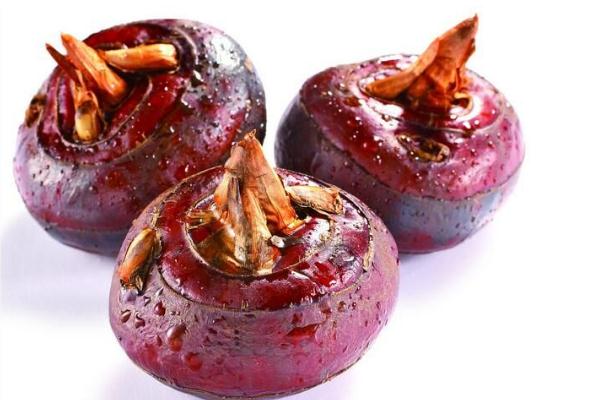 馬蹄是什么季節(jié)才會(huì)有的 馬蹄是什么水果 馬蹄是什么季節(jié)才會(huì)有的 馬蹄是什么水果