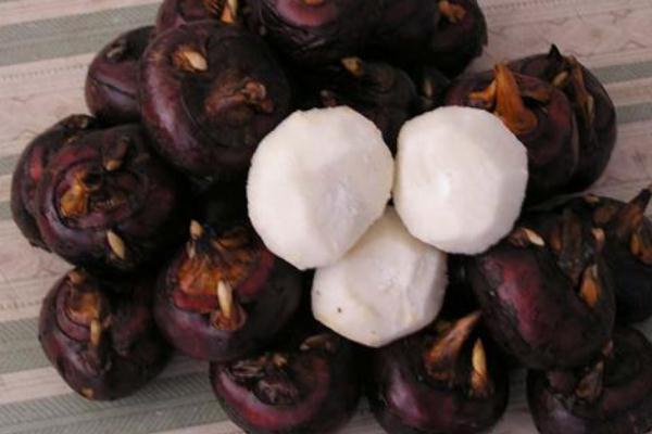 馬蹄是什么季節(jié)才會(huì)有的 馬蹄是什么水果 馬蹄是什么季節(jié)才會(huì)有的 馬蹄是什么水果