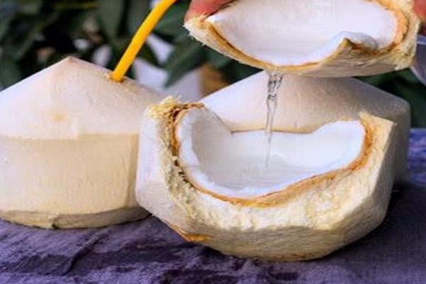 椰子汁是涼性還是熱性 椰子汁喝多了危害 椰子汁是涼性還是熱性 椰子汁喝多了危害