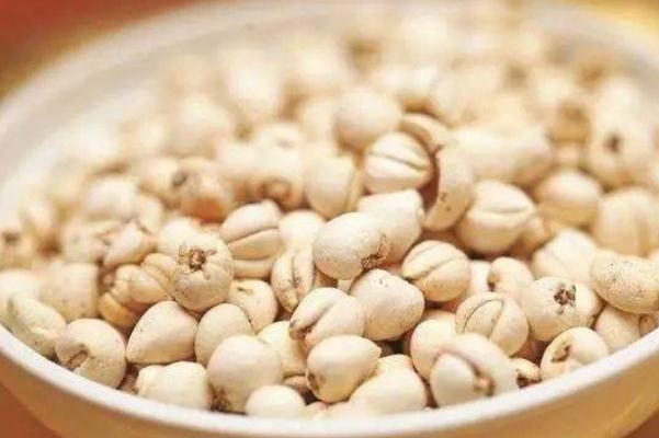 川貝對支氣管炎有用嗎 川貝對肺結(jié)節(jié)有用嗎 川貝對支氣管炎有用嗎 川貝對肺結(jié)節(jié)有用嗎