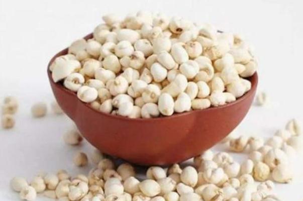 川貝對支氣管炎有用嗎 川貝對肺結(jié)節(jié)有用嗎 川貝對支氣管炎有用嗎 川貝對肺結(jié)節(jié)有用嗎