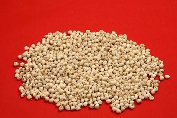 川貝可以長(zhǎng)期服用嗎 川貝可以給孩子吃嗎 川貝可以長(zhǎng)期服用嗎 川貝可以給孩子吃嗎