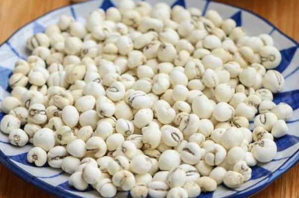 川貝有假的嗎 川貝有毒性嗎 川貝有假的嗎 川貝有毒性嗎