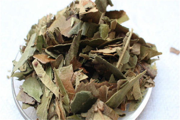 枇杷葉適合風寒咳嗽嗎 枇杷葉適合什么咳嗽 枇杷葉適合風寒咳嗽嗎 枇杷葉適合什么咳嗽
