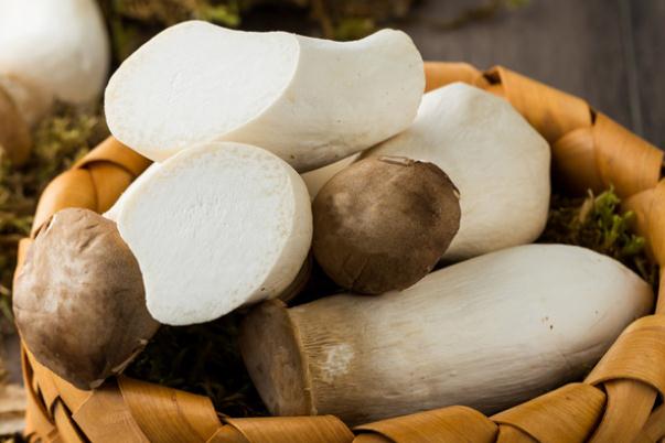 杏鮑菇有點(diǎn)苦 吃了發(fā)苦的杏鮑菇會(huì)不會(huì)中毒 杏鮑菇有點(diǎn)苦 吃了發(fā)苦的杏鮑菇會(huì)不會(huì)中毒