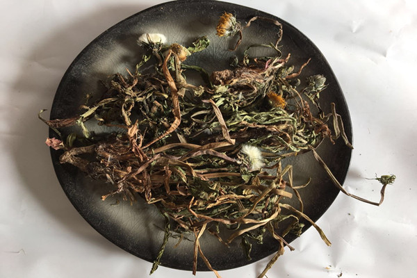 ?蒲公英泡水放多少克 蒲公英泡水什么時(shí)候喝好 ?蒲公英泡水放多少克 蒲公英泡水什么時(shí)候喝好