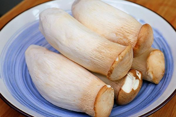 杏鮑菇有點(diǎn)苦 吃了發(fā)苦的杏鮑菇會(huì)不會(huì)中毒 杏鮑菇有點(diǎn)苦 吃了發(fā)苦的杏鮑菇會(huì)不會(huì)中毒