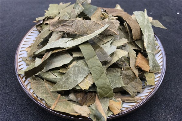 枇杷葉要老葉還是新葉 枇杷葉的功效和作用 枇杷葉要老葉還是新葉 枇杷葉的功效和作用