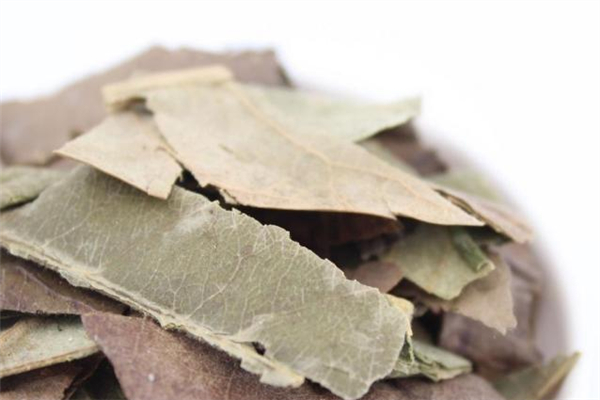 枇杷葉可以曬干保存嗎 枇杷葉曬干的好還是陰干的好 枇杷葉可以曬干保存嗎 枇杷葉曬干的好還是陰干的好