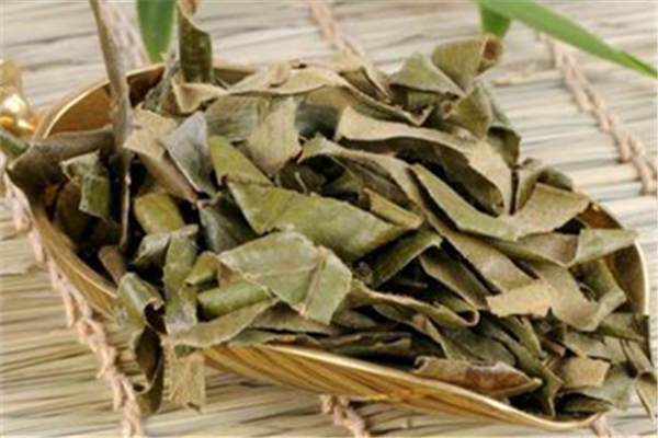 枇杷葉能治慢性支氣管炎嗎 枇杷葉能治咽喉炎嗎 枇杷葉能治慢性支氣管炎嗎 枇杷葉能治咽喉炎嗎