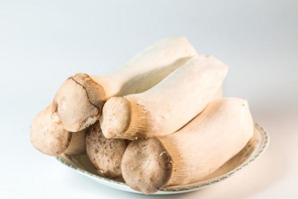 杏鮑菇是什么味道 杏鮑菇有腥味正常嗎 杏鮑菇是什么味道 杏鮑菇有腥味正常嗎