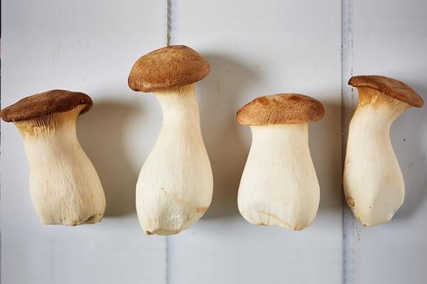 杏鮑菇是什么味道 杏鮑菇有腥味正常嗎 杏鮑菇是什么味道 杏鮑菇有腥味正常嗎