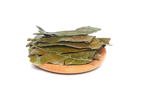 枇杷葉放了幾年還能用嗎 枇杷葉保存干的好還是新鮮的好 枇杷葉放了幾年還能用嗎 枇杷葉保存干的好還是新鮮的好