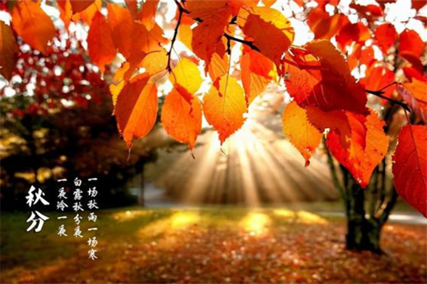 秋分什么時候 秋分時要做什么 秋分什么時候 秋分時要做什么