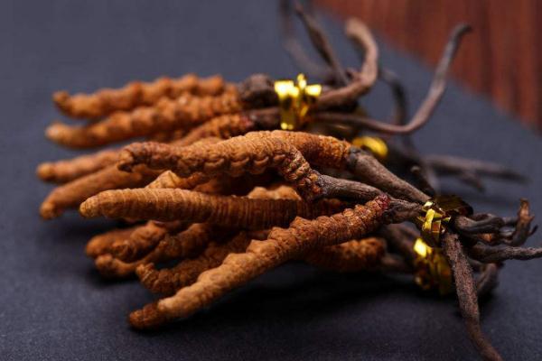 冬蟲(chóng)夏草會(huì)不會(huì)上火 冬蟲(chóng)夏草會(huì)過(guò)敏嗎 冬蟲(chóng)夏草會(huì)不會(huì)上火 冬蟲(chóng)夏草會(huì)過(guò)敏嗎