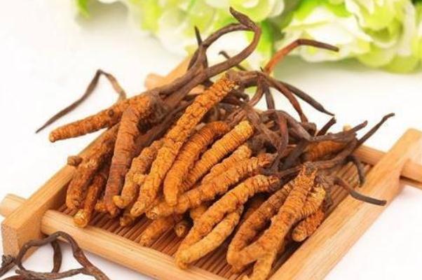 冬蟲(chóng)夏草會(huì)不會(huì)上火 冬蟲(chóng)夏草會(huì)過(guò)敏嗎 冬蟲(chóng)夏草會(huì)不會(huì)上火 冬蟲(chóng)夏草會(huì)過(guò)敏嗎