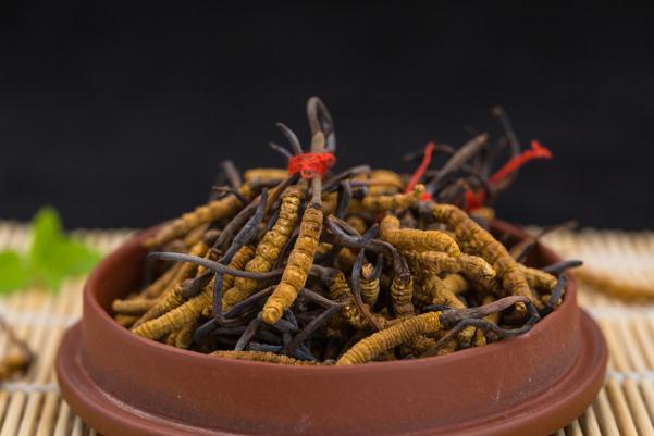 冬蟲夏草會引起腹瀉嗎 冬蟲夏草會開花嗎 冬蟲夏草會引起腹瀉嗎 冬蟲夏草會開花嗎