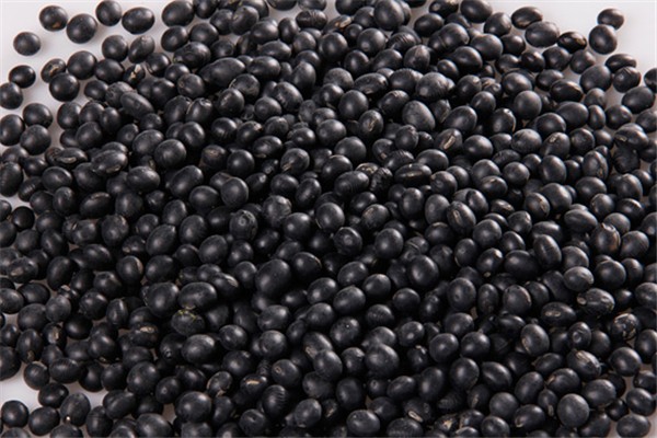 黑豆可以治脫發(fā)嗎 黑豆怎么吃治療脫發(fā) 黑豆可以治脫發(fā)嗎 黑豆怎么吃治療脫發(fā)