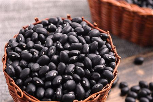 黑豆怎么吃補腎效果好 黑豆的功效和作用 黑豆怎么吃補腎效果好 黑豆的功效和作用
