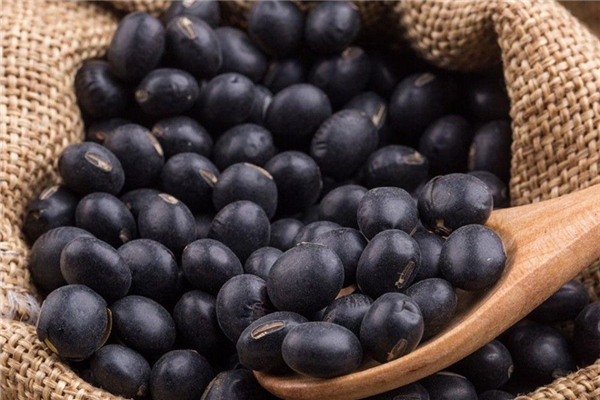 黑豆有雌激素嗎 黑豆有助于卵泡發(fā)育嗎 黑豆有雌激素嗎 黑豆有助于卵泡發(fā)育嗎