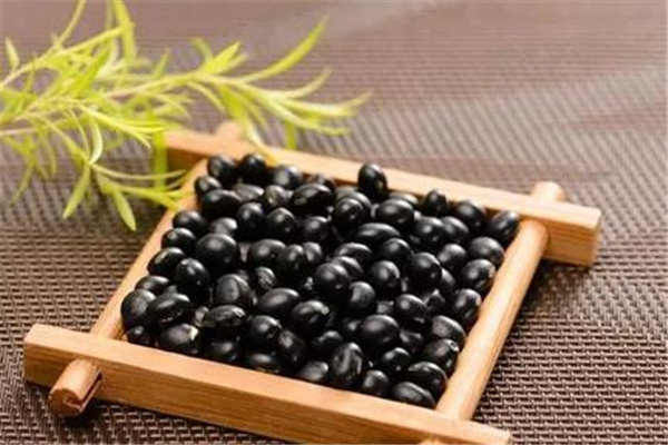 黑豆適合減肥吃嗎 黑豆什么時(shí)候吃最好 黑豆適合減肥吃嗎 黑豆什么時(shí)候吃最好