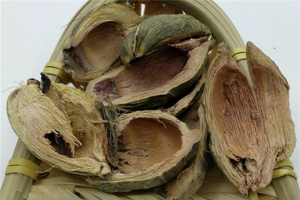 檳榔上癮什么感覺 檳榔上癮的癥狀 檳榔上癮什么感覺 檳榔上癮的癥狀