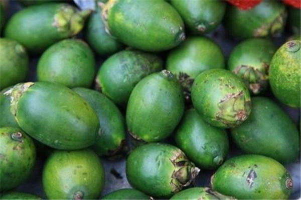 檳榔可以吞下去嗎 檳榔吞下去會(huì)怎么樣 檳榔可以吞下去嗎 檳榔吞下去會(huì)怎么樣