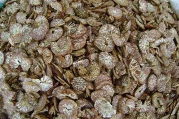 吃檳榔會查出來酒駕嗎 檳榔含有酒精嗎 吃檳榔會查出來酒駕嗎 檳榔含有酒精嗎