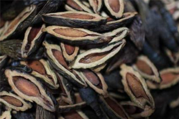 檳榔可以做藥材嗎 檳榔有什么藥用價(jià)值 檳榔可以做藥材嗎 檳榔有什么藥用價(jià)值