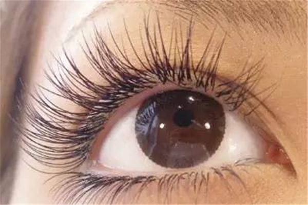 種睫毛和嫁接睫毛區(qū)別 種睫毛和涂睫毛膏哪個(gè)好 種睫毛和嫁接睫毛區(qū)別 種睫毛和涂睫毛膏哪個(gè)好