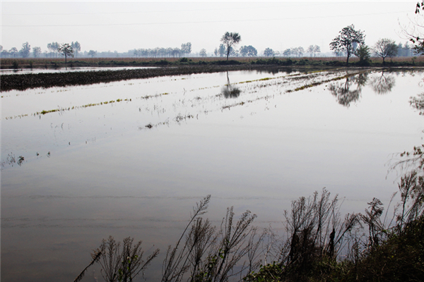 內澇什么意思 內澇的原因極其措施 內澇什么意思 內澇的原因極其措施