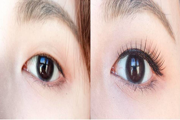 種睫毛有幾種類型 種睫毛怎么選擇適合自己的 種睫毛有幾種類型 種睫毛怎么選擇適合自己的