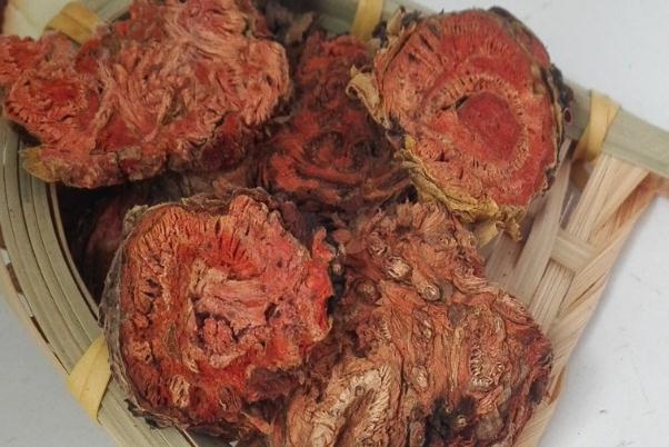 服用紅景天可以喝酒嗎 服用紅景天不宜吃什么 服用紅景天可以喝酒嗎 服用紅景天不宜吃什么