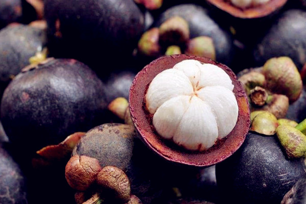 山竹怎么選購(gòu) 山竹如何存放 山竹怎么選購(gòu) 山竹如何存放