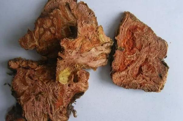 紅景天會不會上火 紅景天會過敏嗎 紅景天會不會上火 紅景天會過敏嗎