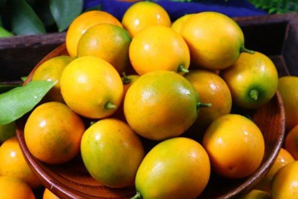 小金桔有什么藥用價(jià)值 小金桔有減肥作用嗎 小金桔有什么藥用價(jià)值 小金桔有減肥作用嗎