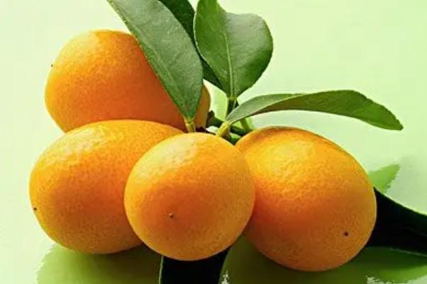 小金桔的作用與功效 小金桔泡水喝的功效與作用 小金桔的作用與功效 小金桔泡水喝的功效與作用