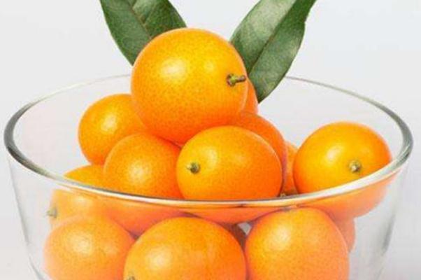 小金桔有什么藥用價(jià)值 小金桔有減肥作用嗎 小金桔有什么藥用價(jià)值 小金桔有減肥作用嗎