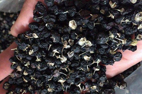 黑枸杞會掉色是不是染色了 黑枸杞會染色到手上嗎 黑枸杞會掉色是不是染色了 黑枸杞會染色到手上嗎