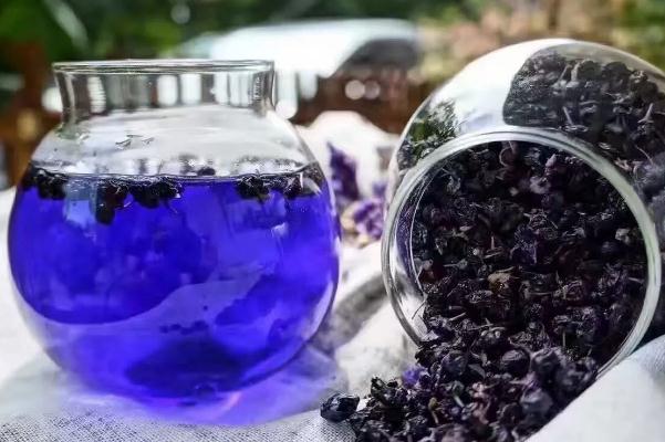 黑枸杞的保質(zhì)期限多久 黑枸杞過期了還能喝嗎 黑枸杞的保質(zhì)期限多久 黑枸杞過期了還能喝嗎