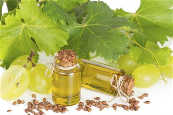 橄欖油防曬效果怎么樣 橄欖油防曬的方法 橄欖油防曬效果怎么樣 橄欖油防曬的方法