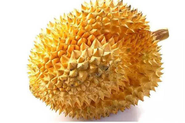 榴蓮怎么判斷熟不熟 榴蓮如何催熟 榴蓮怎么判斷熟不熟 榴蓮如何催熟