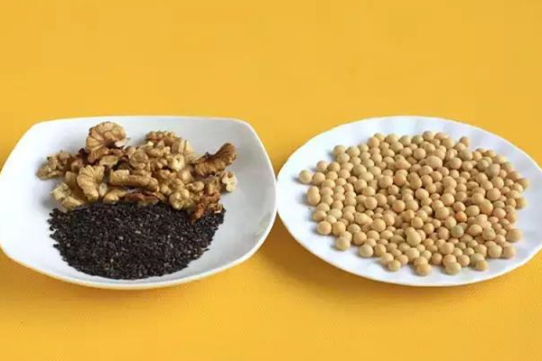 白芝麻和黑芝麻的區(qū)別 白芝麻和黑芝麻哪個好 白芝麻和黑芝麻的區(qū)別 白芝麻和黑芝麻哪個好